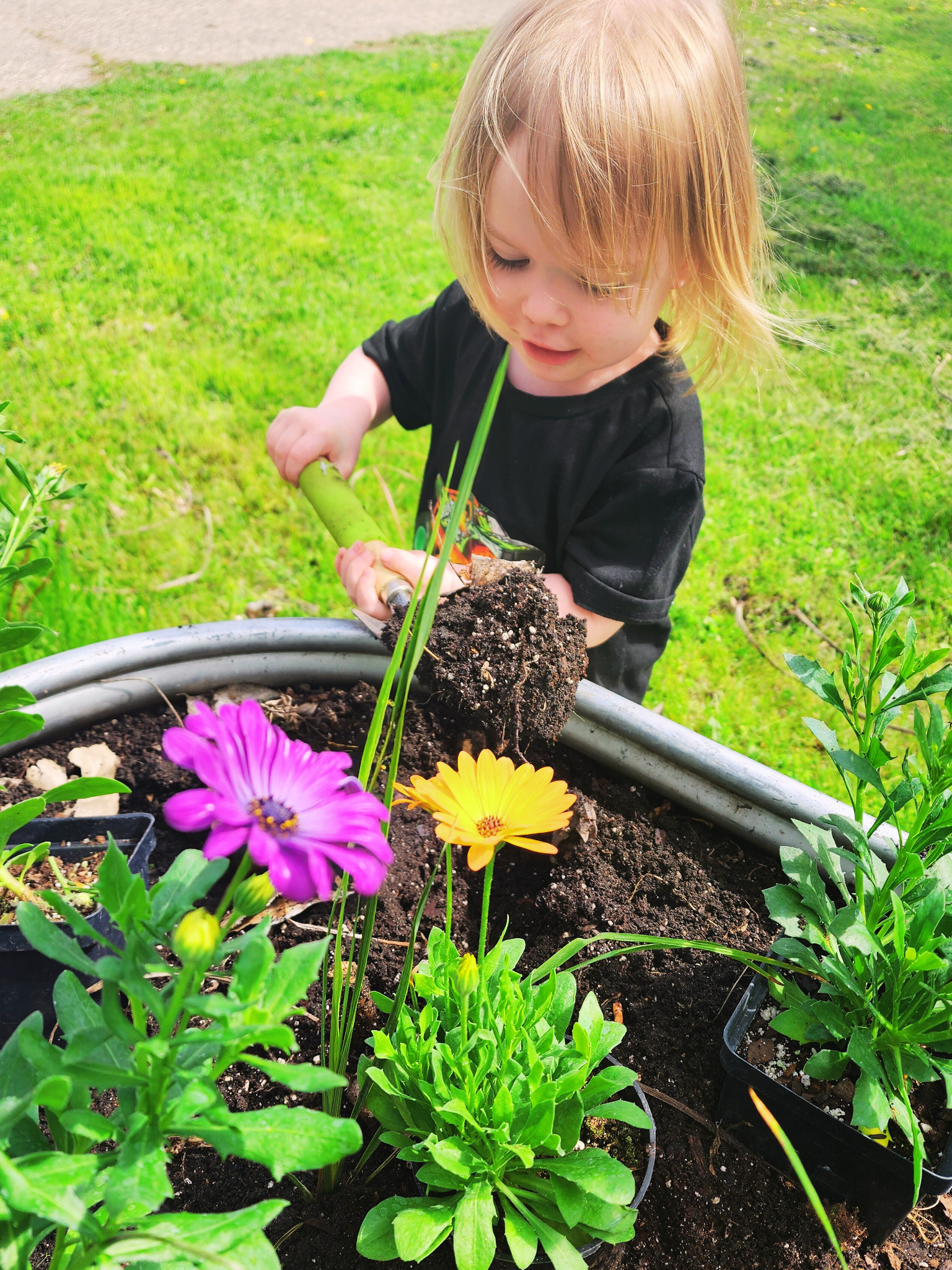 Let’s Plant Some Flowers