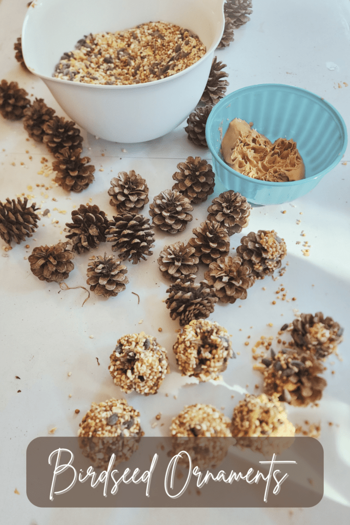 Kid approved bird seed ornaments 