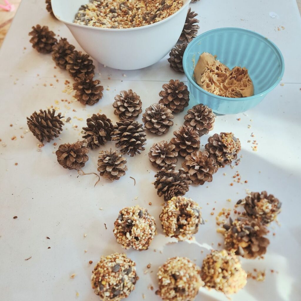 Birdseed Ornaments