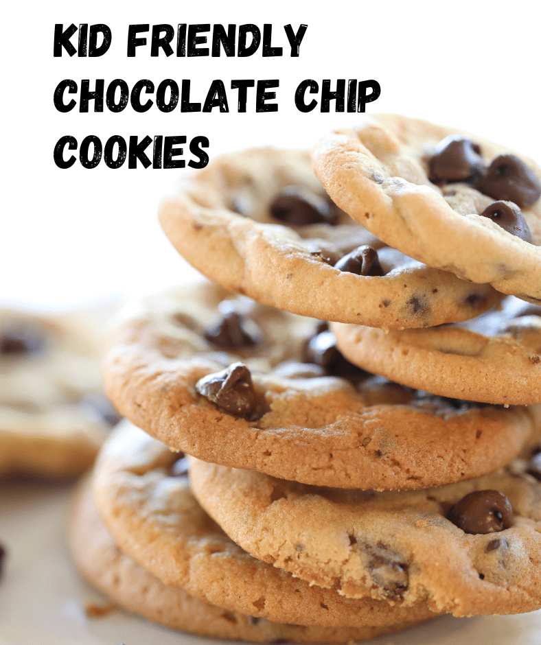 kid friendly chocolate chip cookie recipes