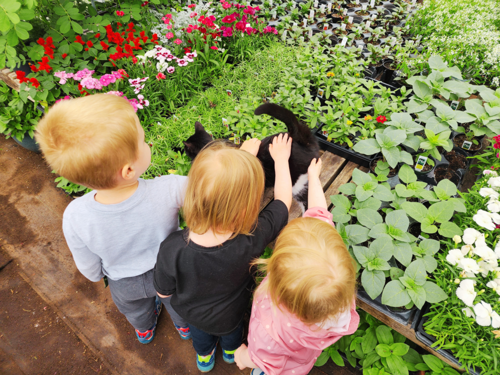 Picking out flowers