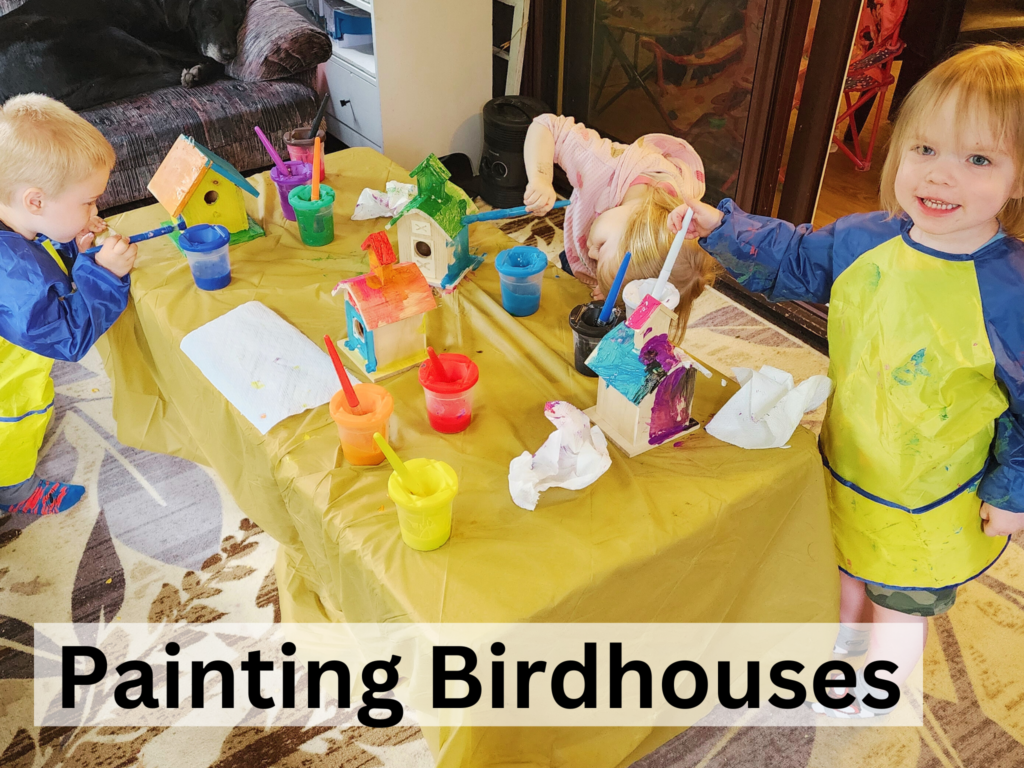 paint birdhouses