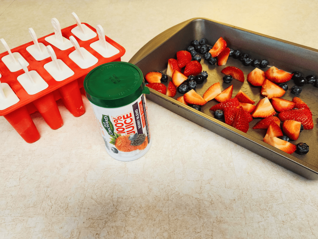 supplies for fruit popsicles