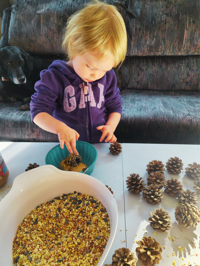 Kid approved bird seed ornaments 