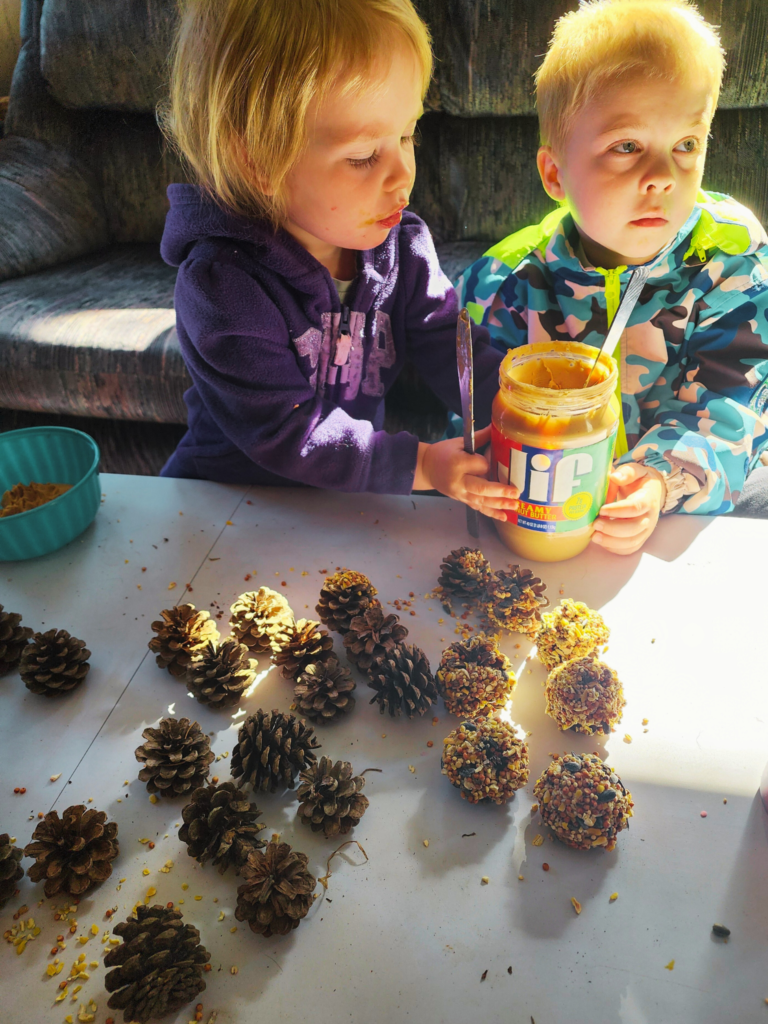 Kid approved bird seed ornaments 