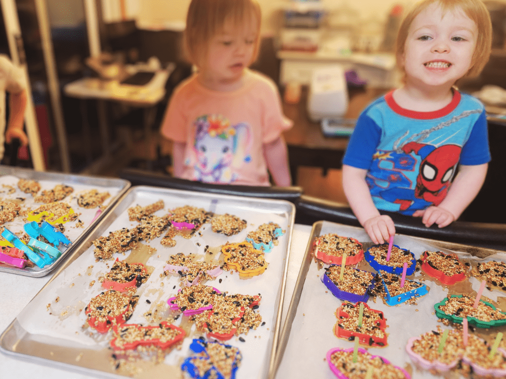 Kid approved bird seed ornaments 