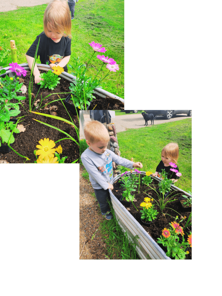 planting flowers