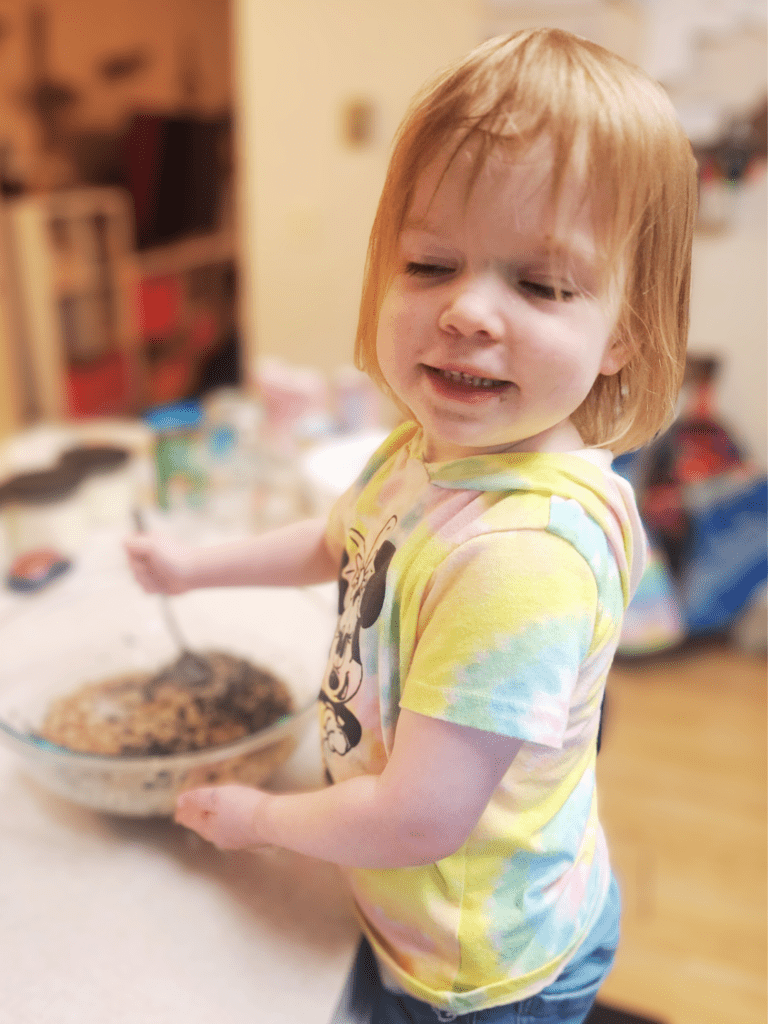 Kid approved bird seed ornaments 