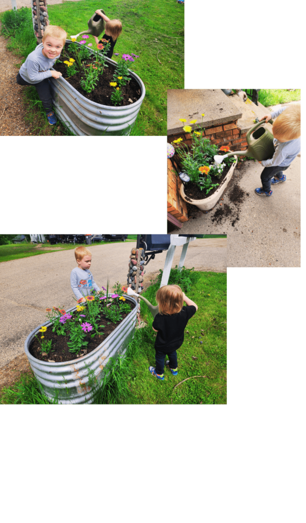 Watering Flowers